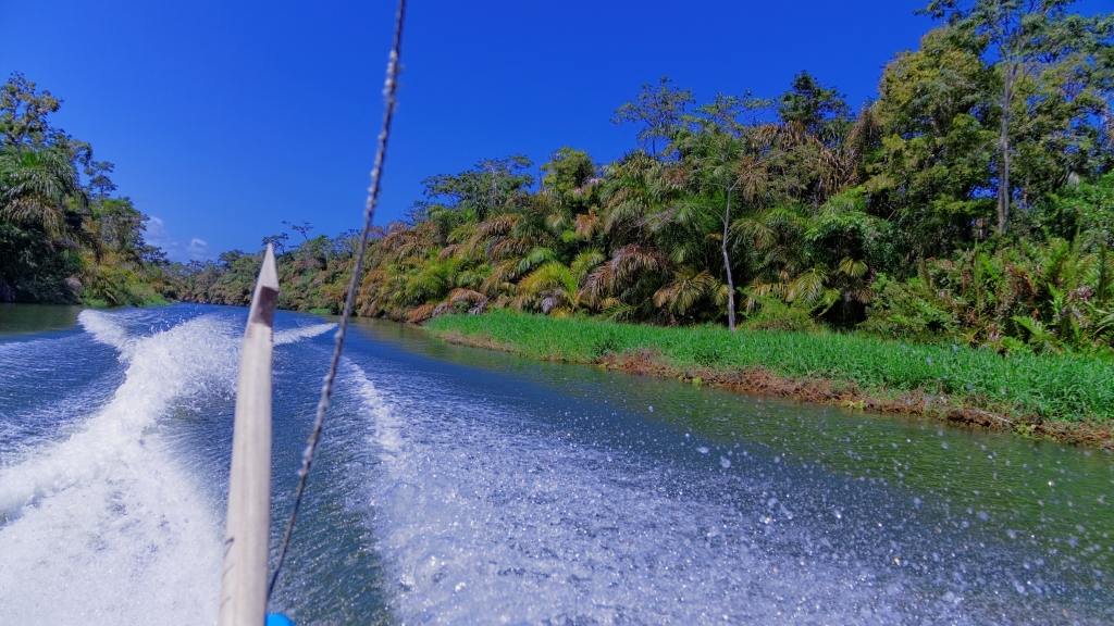 25 - Tortuguero NP (44).jpg